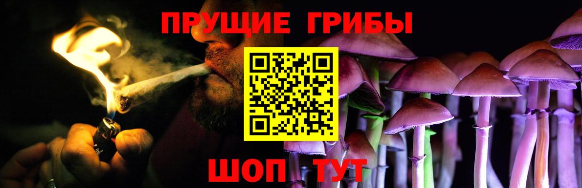 Псилоцибиновые грибы Cubensis Лениногорск